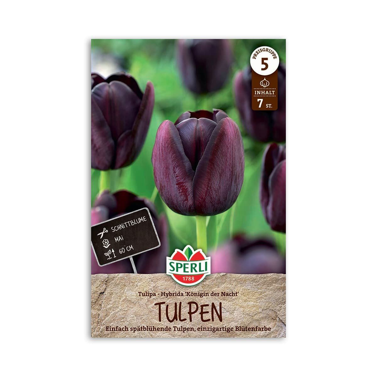 Tulipaner "Queen of night" - 10 løg