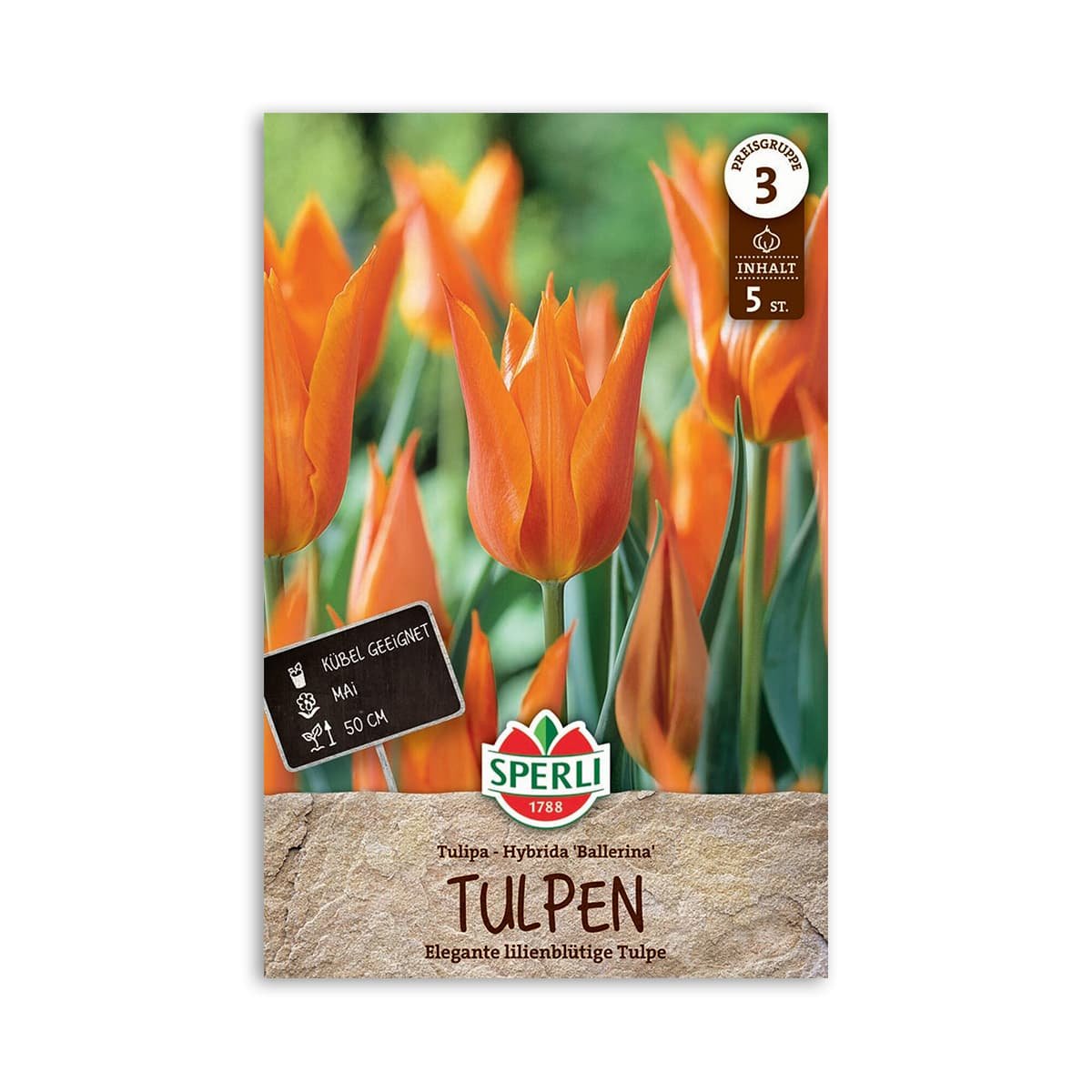 Tulipanløg "Ballerina" - 5 løg