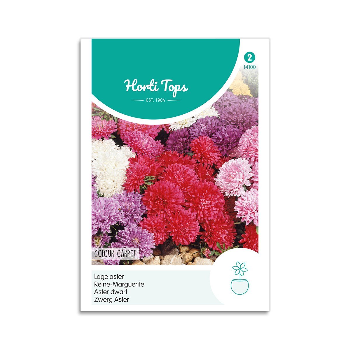 Asters frø mix "Colour Carpet" - Horti Tops