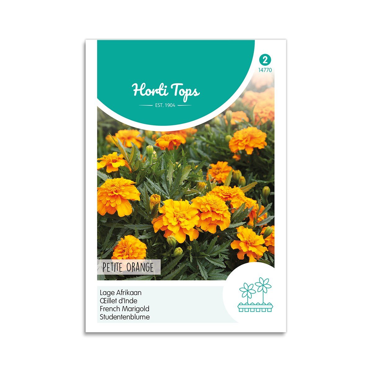 Tagetes frø "Petite Orange" - Horti Tops