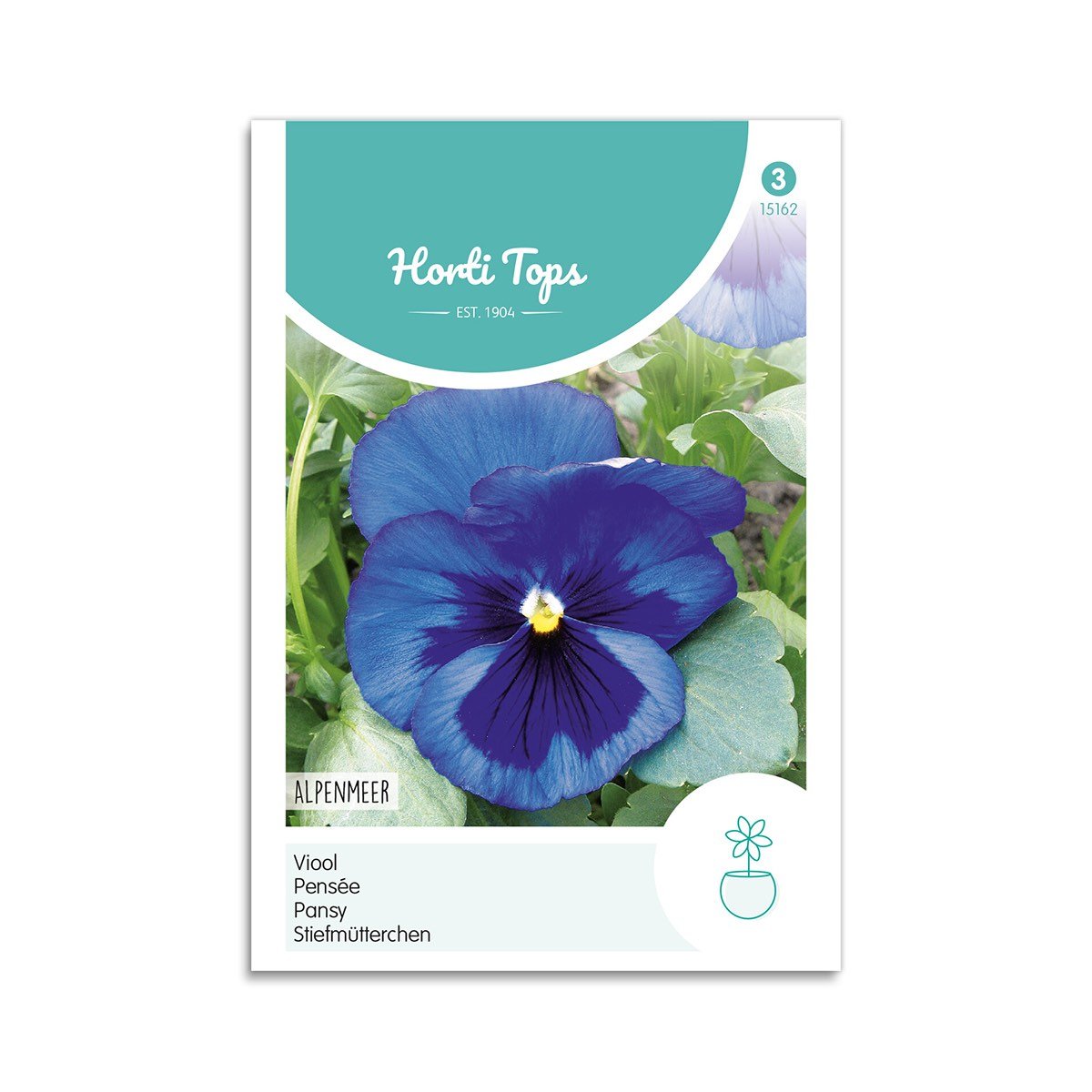 Stedmoderblomst frø "Swiss Giants Blue" - Horti Tops