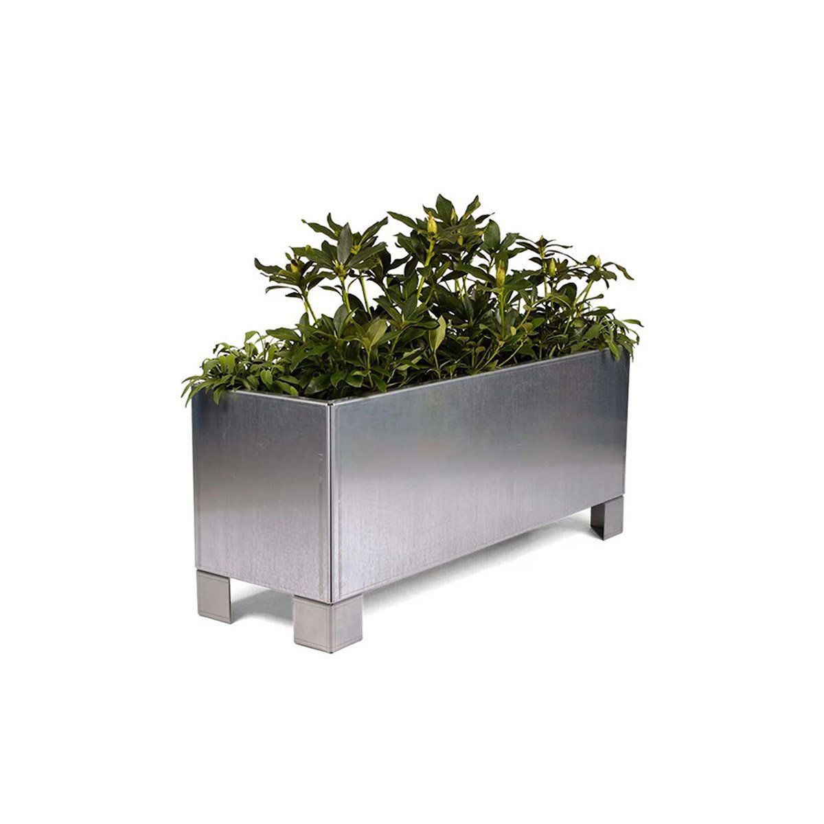 Land Modern – Aflang plantekasse i galvaniseret stål med ben – 80 x 120 cm