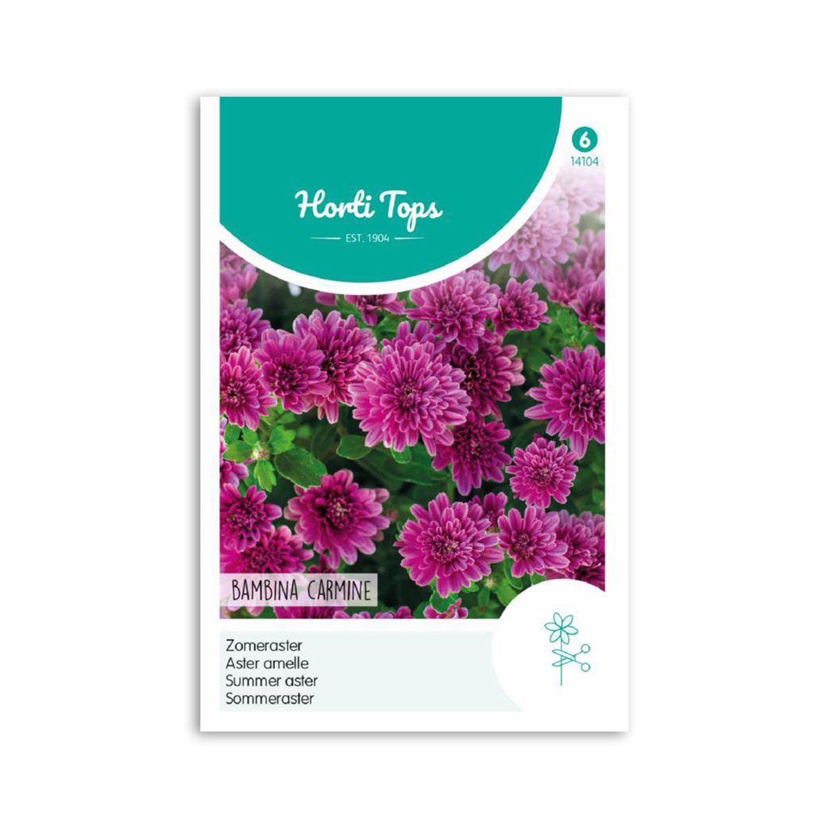 Sommer Asters frø "Bambina Carmine" - Horti Tops