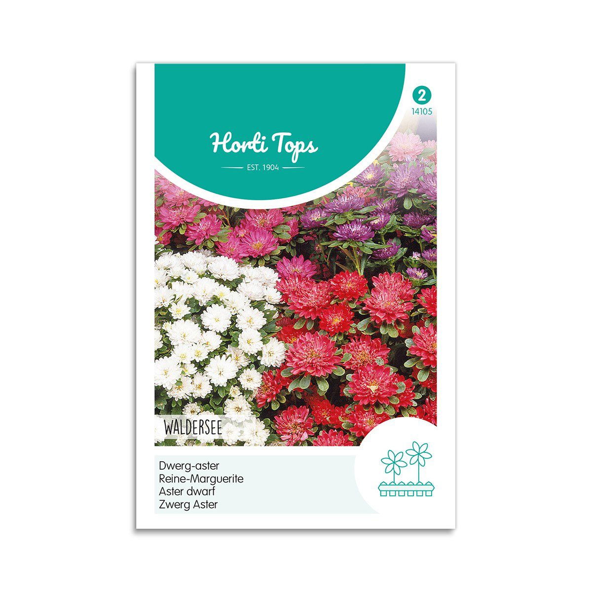 Asters frø mix "Waldersee" - Horti Tops