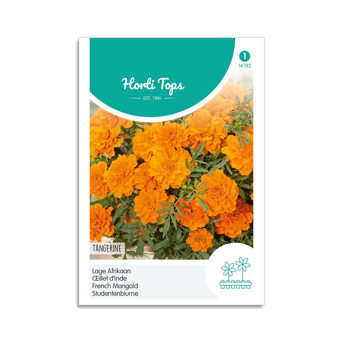 Tagetes frø "Tangerine" - Horti Tops