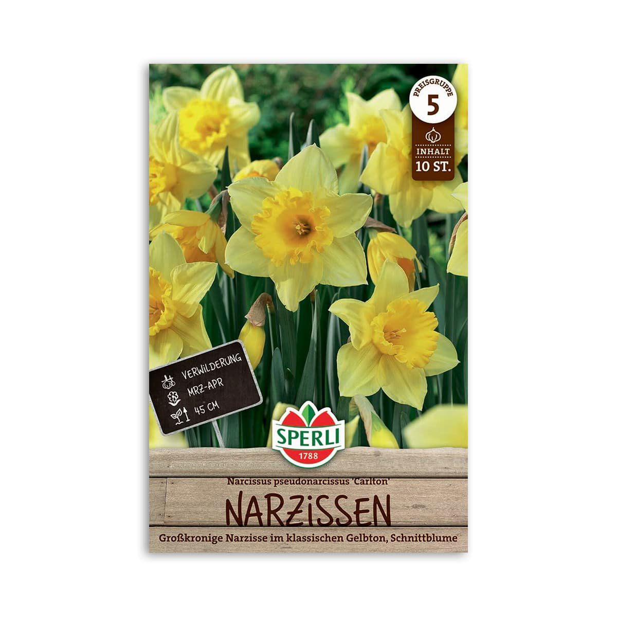 Påskelilje "Carlton, Narcissus" - 10 løg