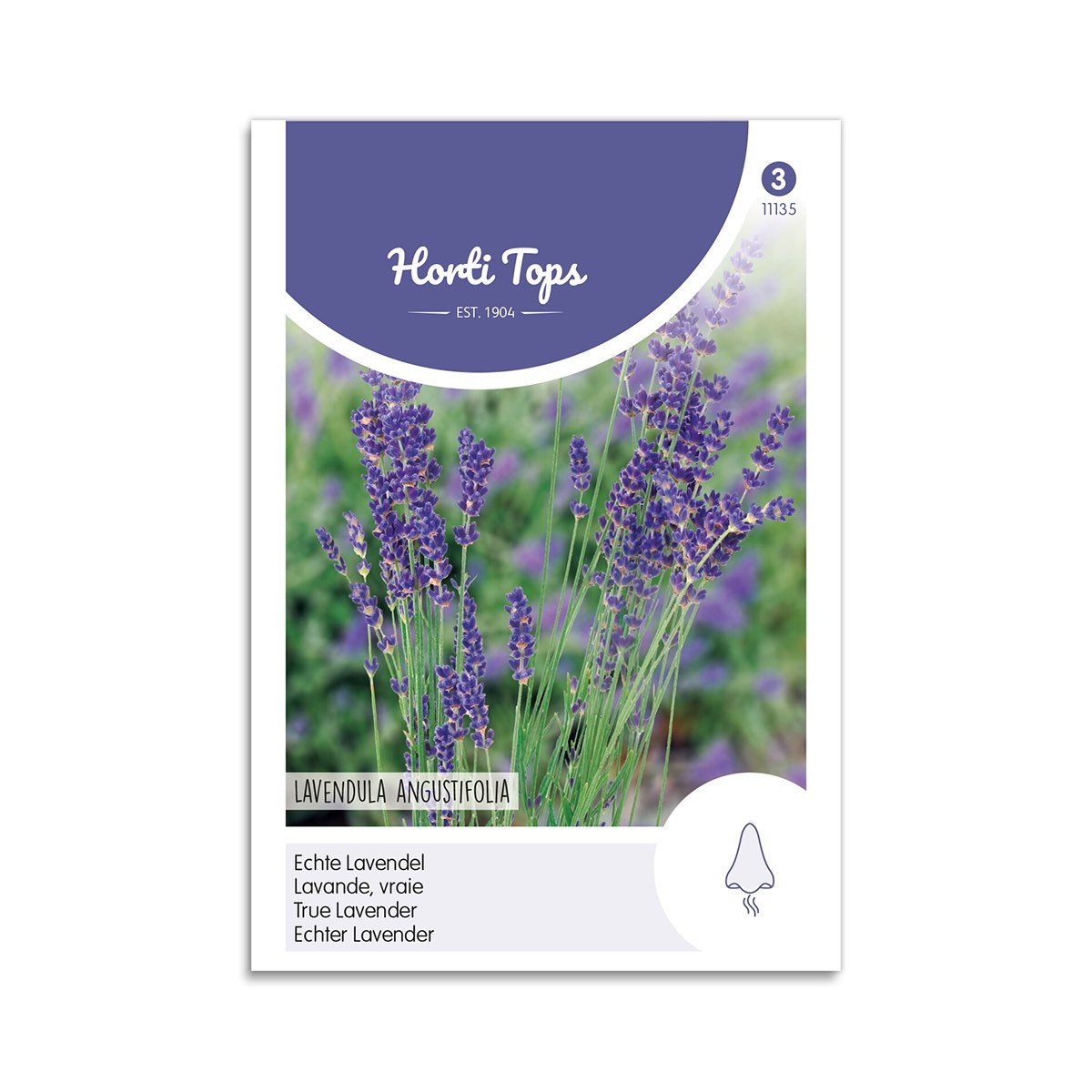 Ægte lavendel frø - Horti Tops