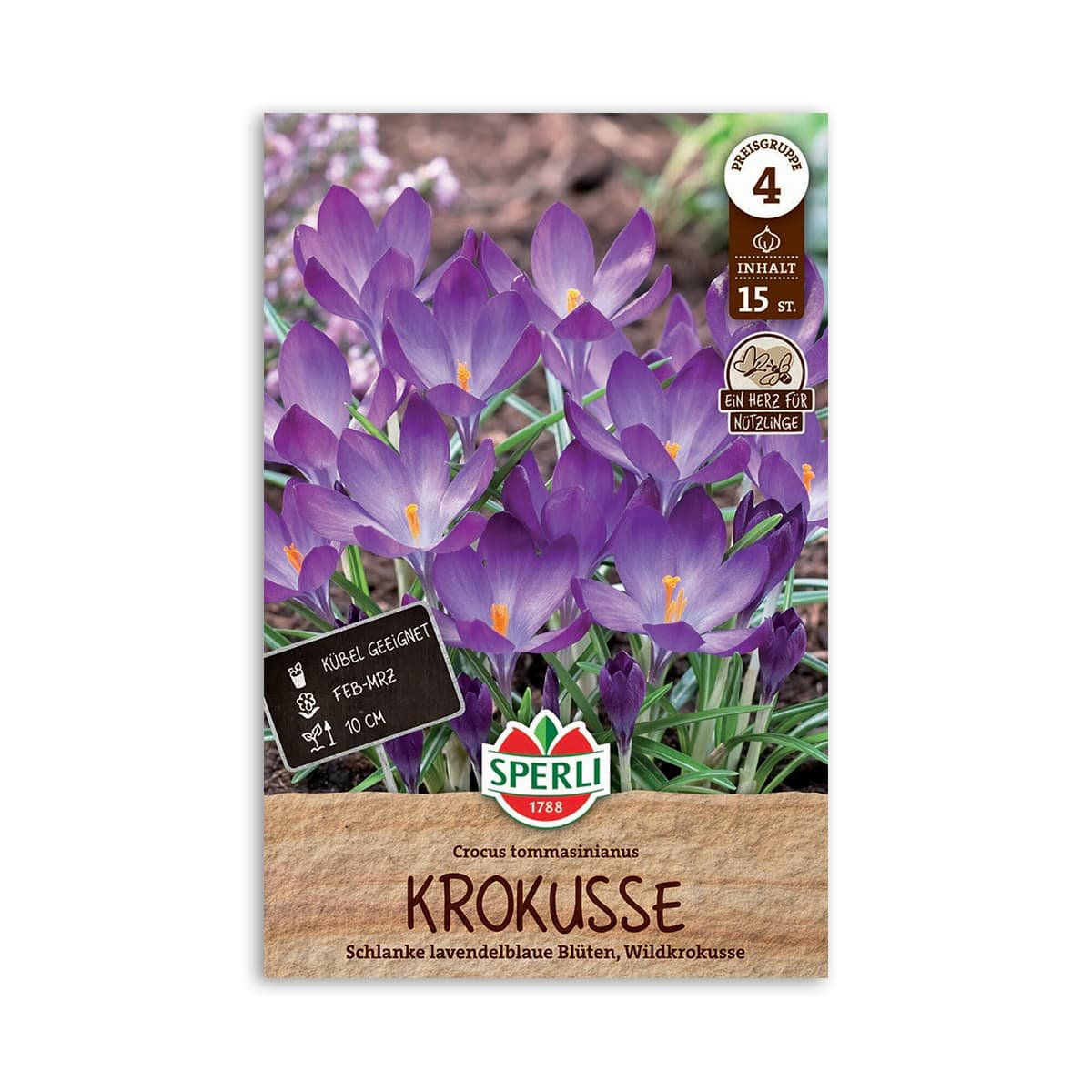 Krokusløg "Vild krokus tommasinianus" - 15 løg