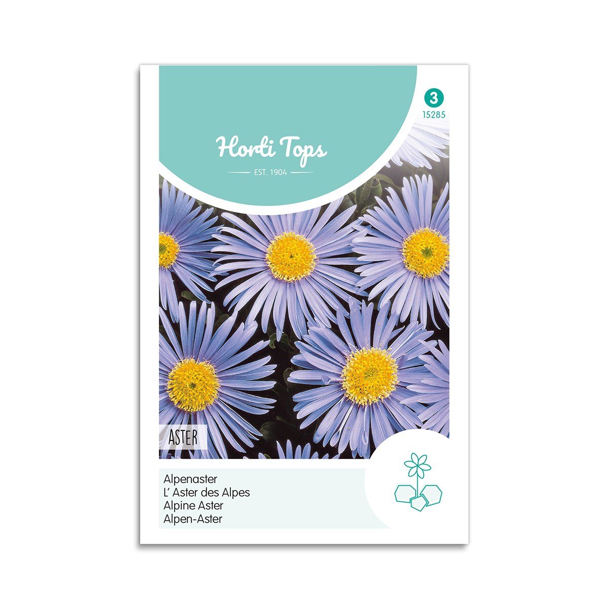 Aster frø - Horti Tops